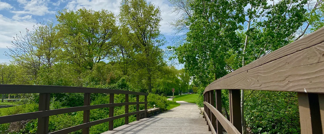 A wooden bridge extends towards a lush green park, inviting visitors to explore the natural surroundings.