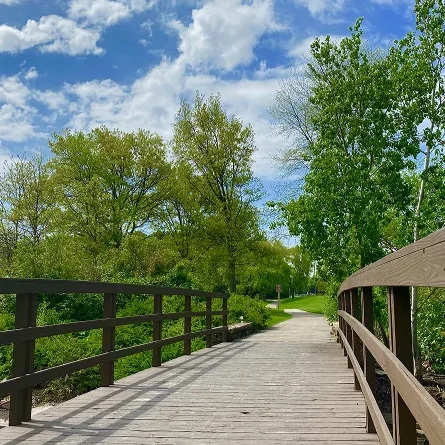Wooden footbridge on a wooded trail in Oak Brook